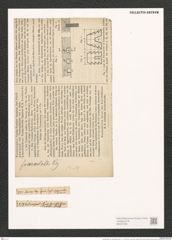 Synedra affinis var. fasciculata (Kuetz.) V. H. (de-Toni-Nr.: Genus 66, Species 2607) Zeichnungen Sammlung Grunow (NHMW-BOT-W0373738)